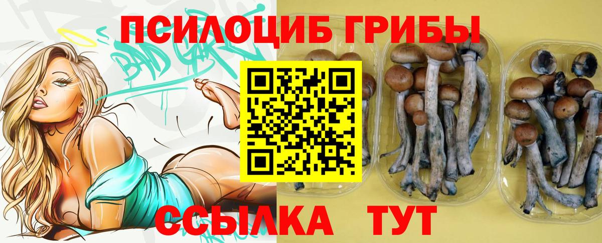 Тверь  Псилоцибиновые грибы мухоморы  Вход с VPN  Галлюциногенные грибы Magic Shrooms 